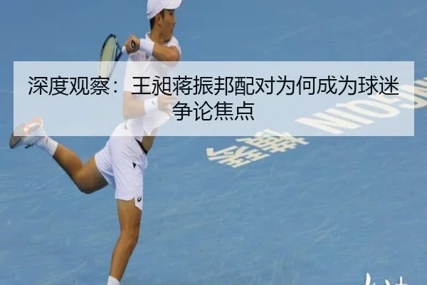 深度观察：王昶蒋振邦配对为何成为球迷争论焦点 - aitiyu